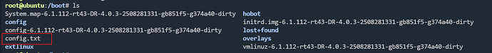 config.txt 指定 dtbo