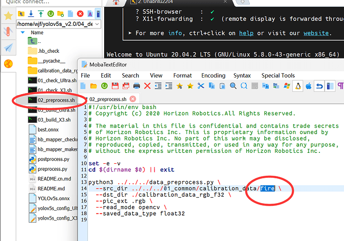 image-20240205191918394