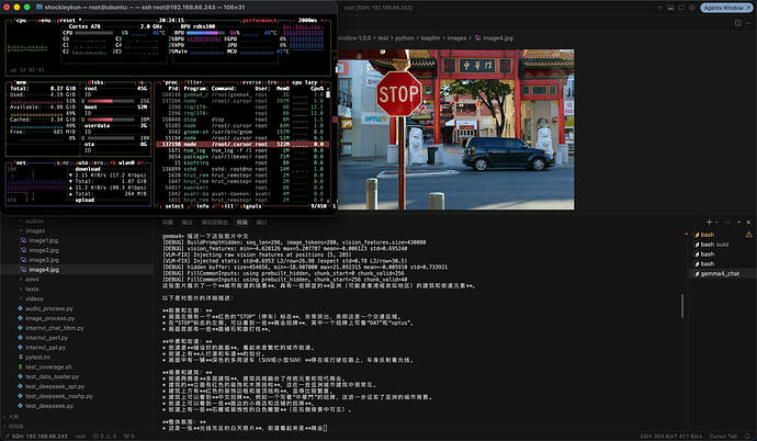 VLM 演示