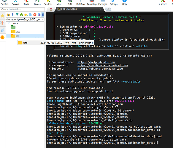 image-20240205191700102